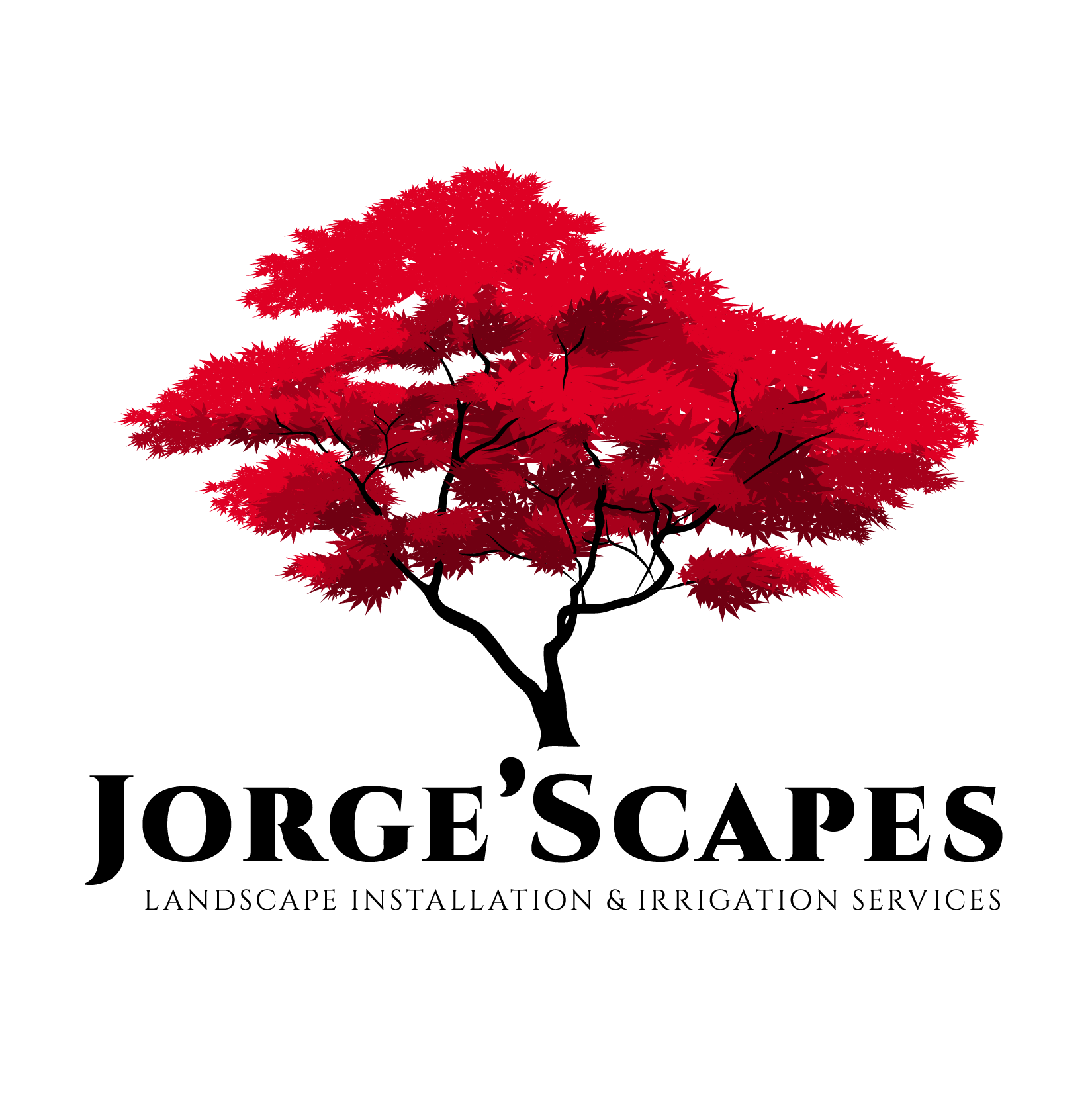 Avatar for Jorge'Scapes