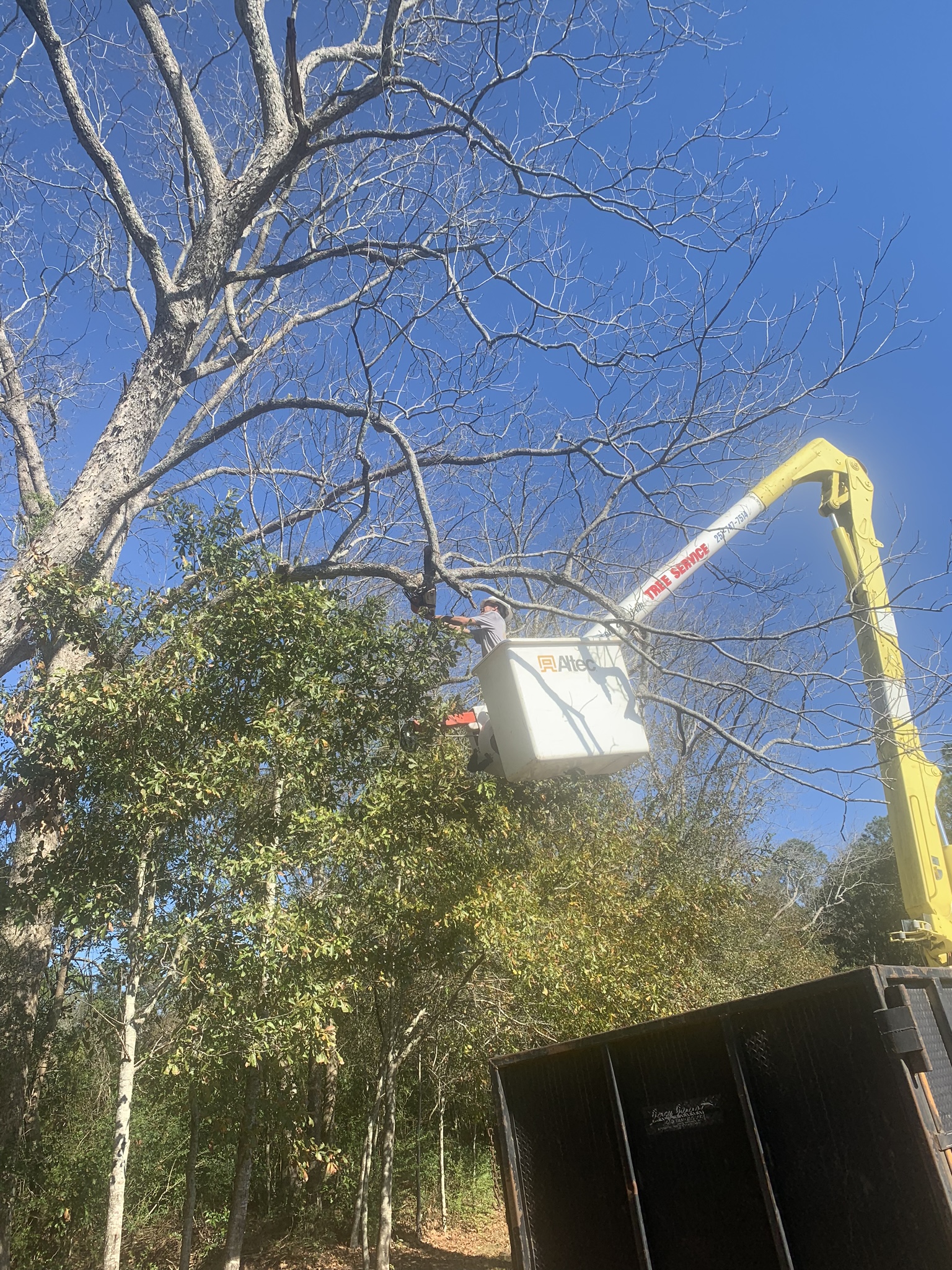 Avatar for Hug'em and Cut'em Tree Service