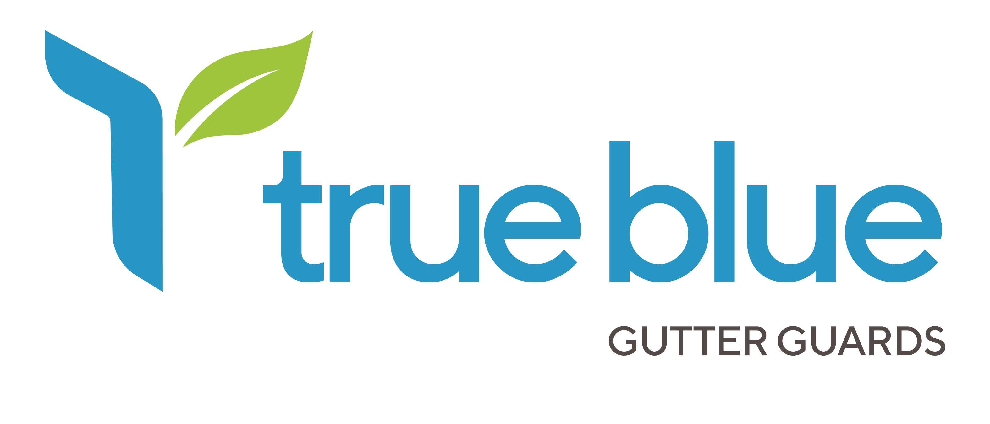 Logo for True Blue Gutter Guards