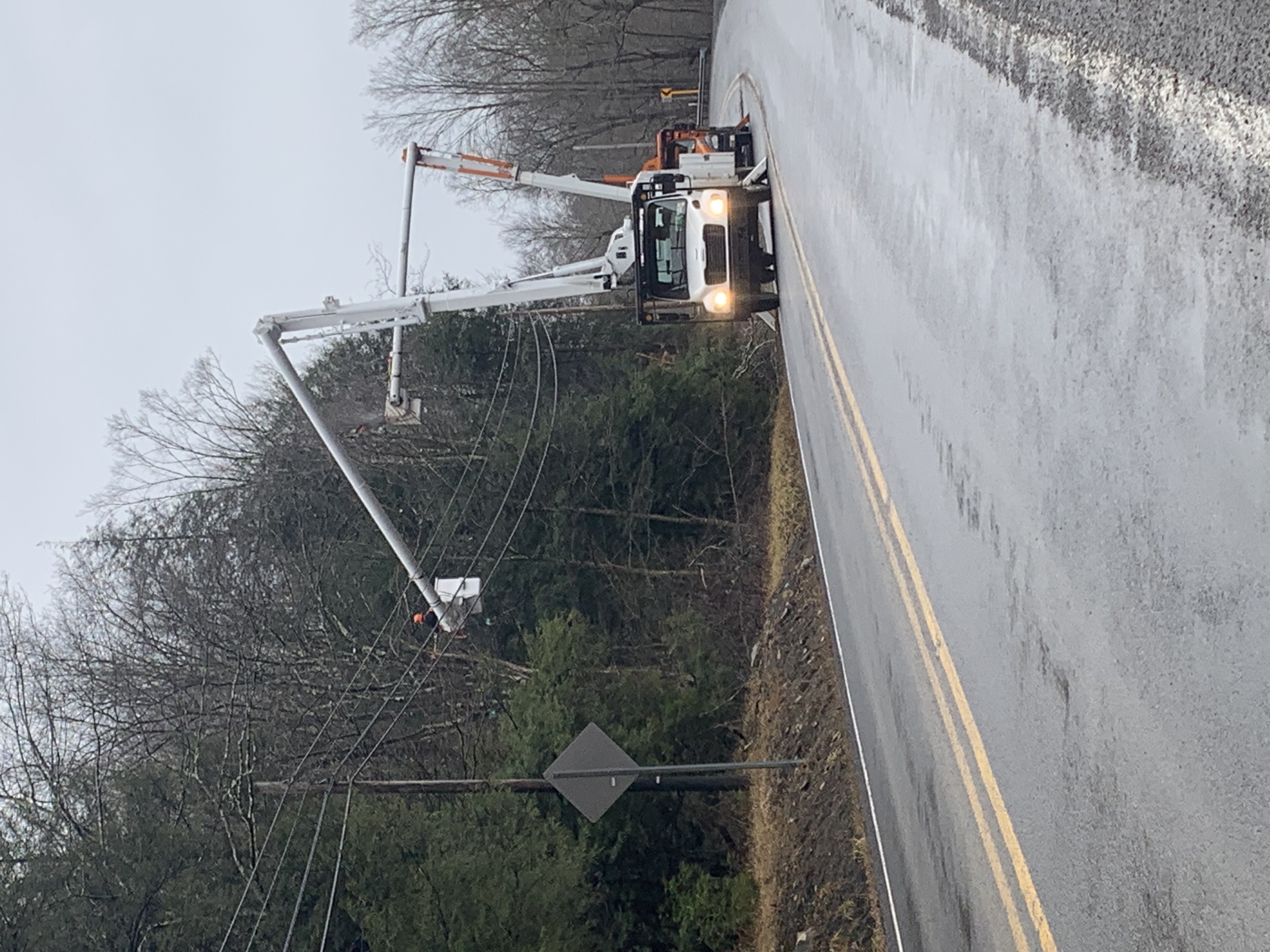 Emerald Tree Service LLC logo