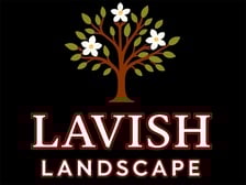 Avatar for Lavish Landscape