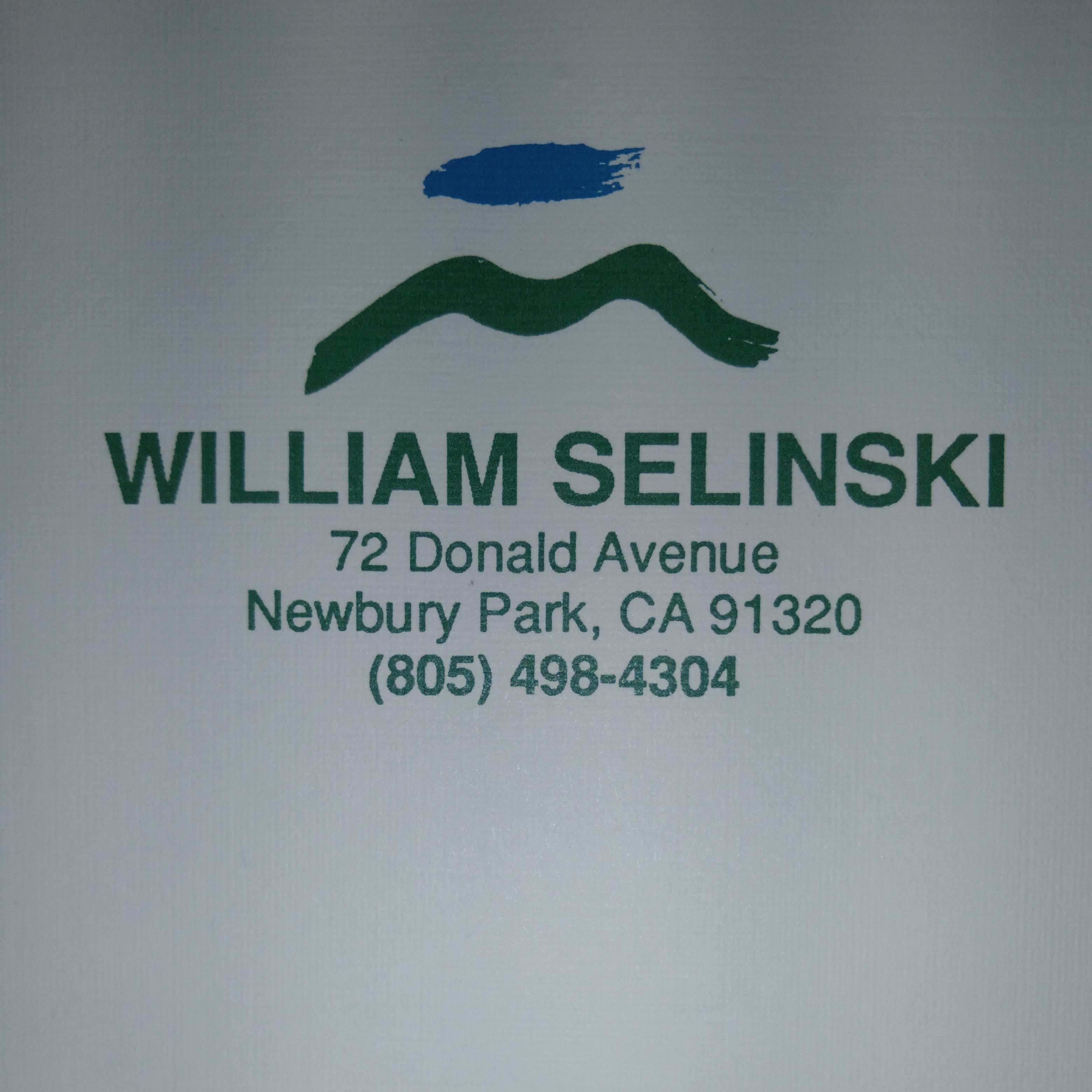 Logo for William Selinski Custom Painting