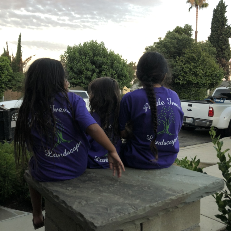 Avatar for Purple Trees Landscape Maintenance