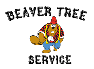 Avatar for Beaver Tree Service