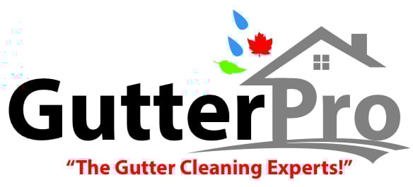 Avatar for Ned Stevens Gutter Cleaning