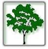 Avatar for Hermanos Flores Gardening