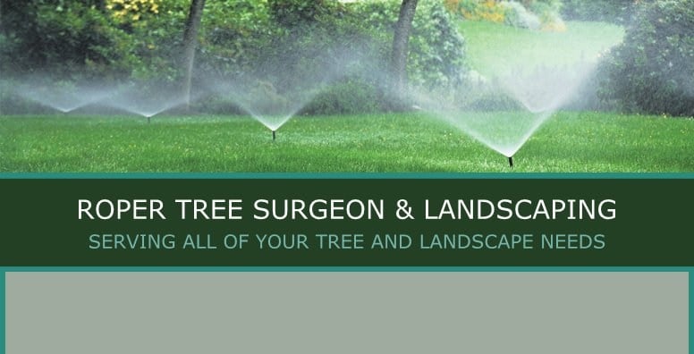 Avatar for Roper Tree Surgeon and Landscaping