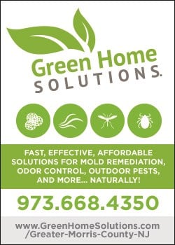 Avatar for Green Home Solutions