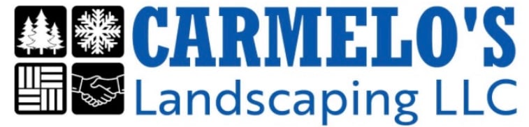 Avatar for Carmelo's Landscaping & Snow Plowing, LLC