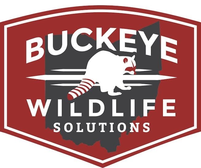 Avatar for Buckeye Wildlife Solutions