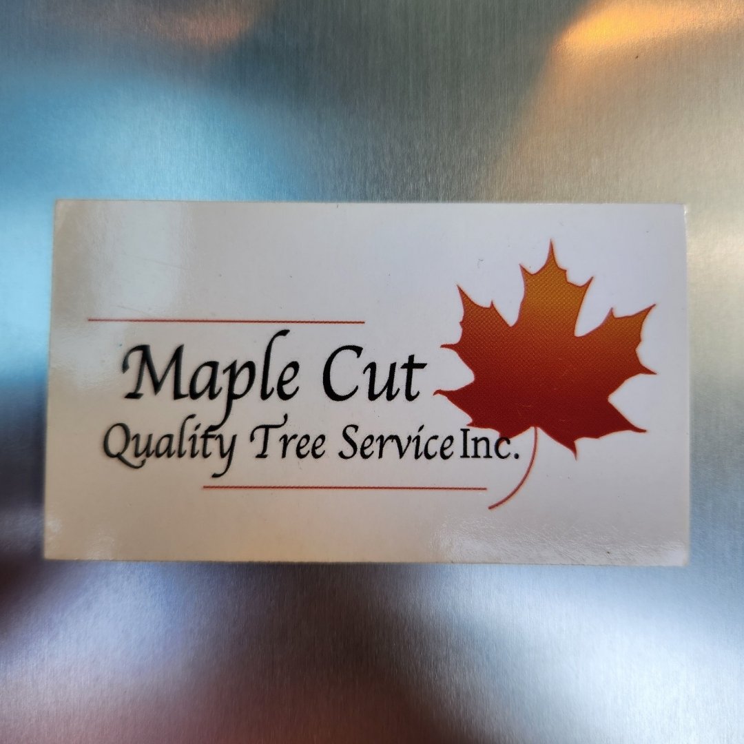 Avatar for Maple Cut Quality Tree Service