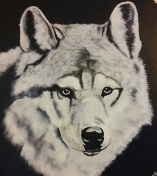 Avatar for TimberWolf Contracting LLC.