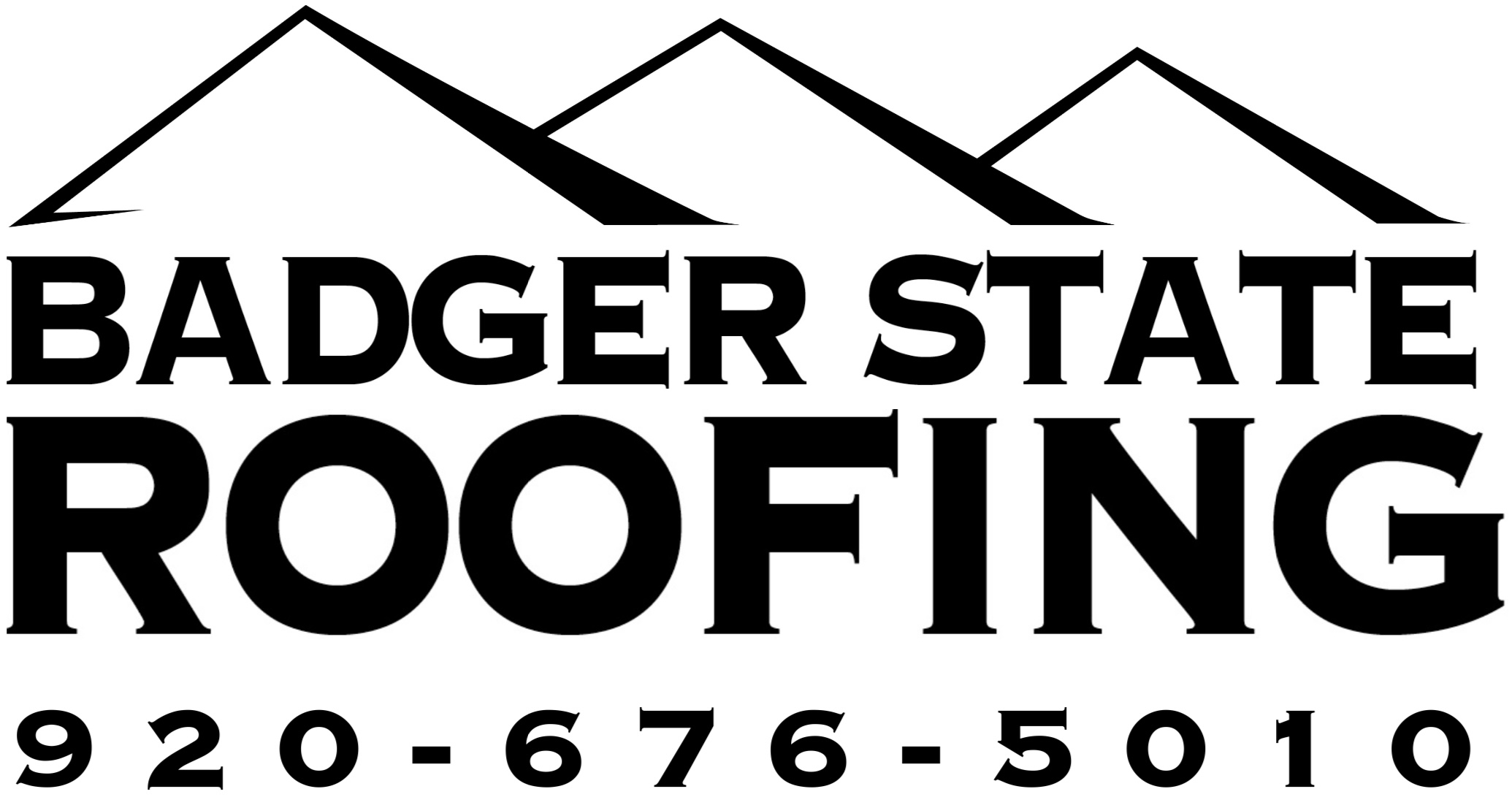 Avatar for Badger State Roofing