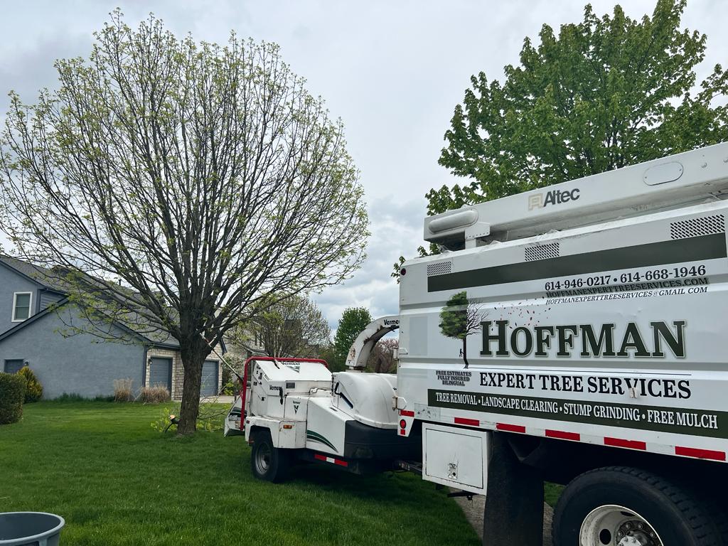 Avatar for Hoffman Expert Tree Services