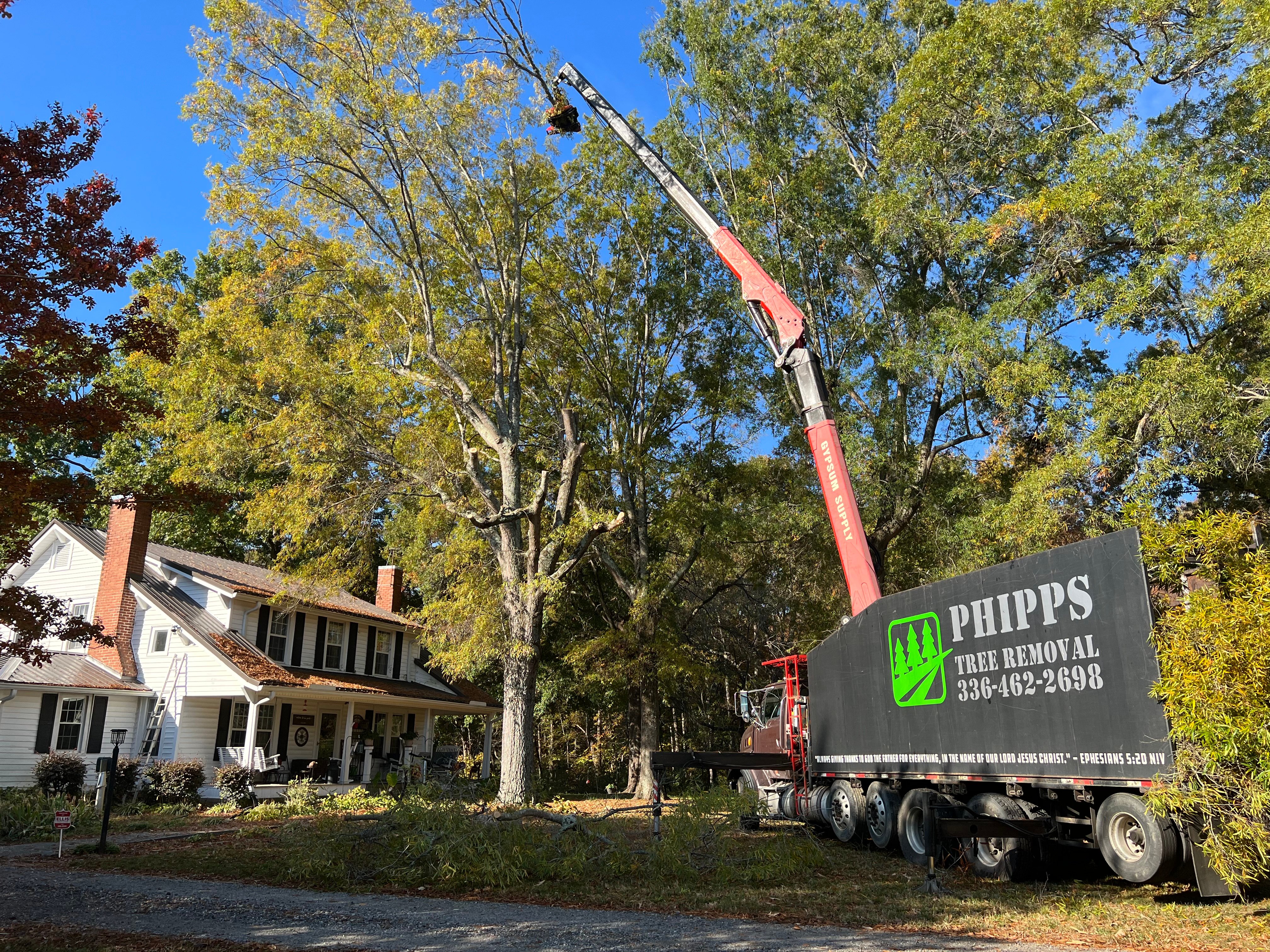 Avatar for Phipps Tree Removal LLC