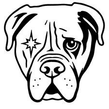 Logo for Sirius Electric LLC