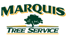 Avatar for Marquis Tree Service