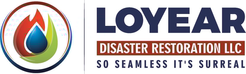 Avatar for Loyear Disaster Restoration Services LLC