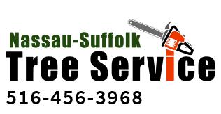 Avatar for Stagecoach tree svc. - Nassau-Suffolk tree svc.