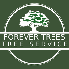 Logo for Forever Trees Tree Service