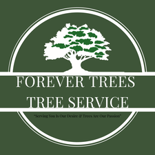 Logo for Forever Trees Tree Service