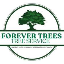 Avatar for Forever Trees Tree Service