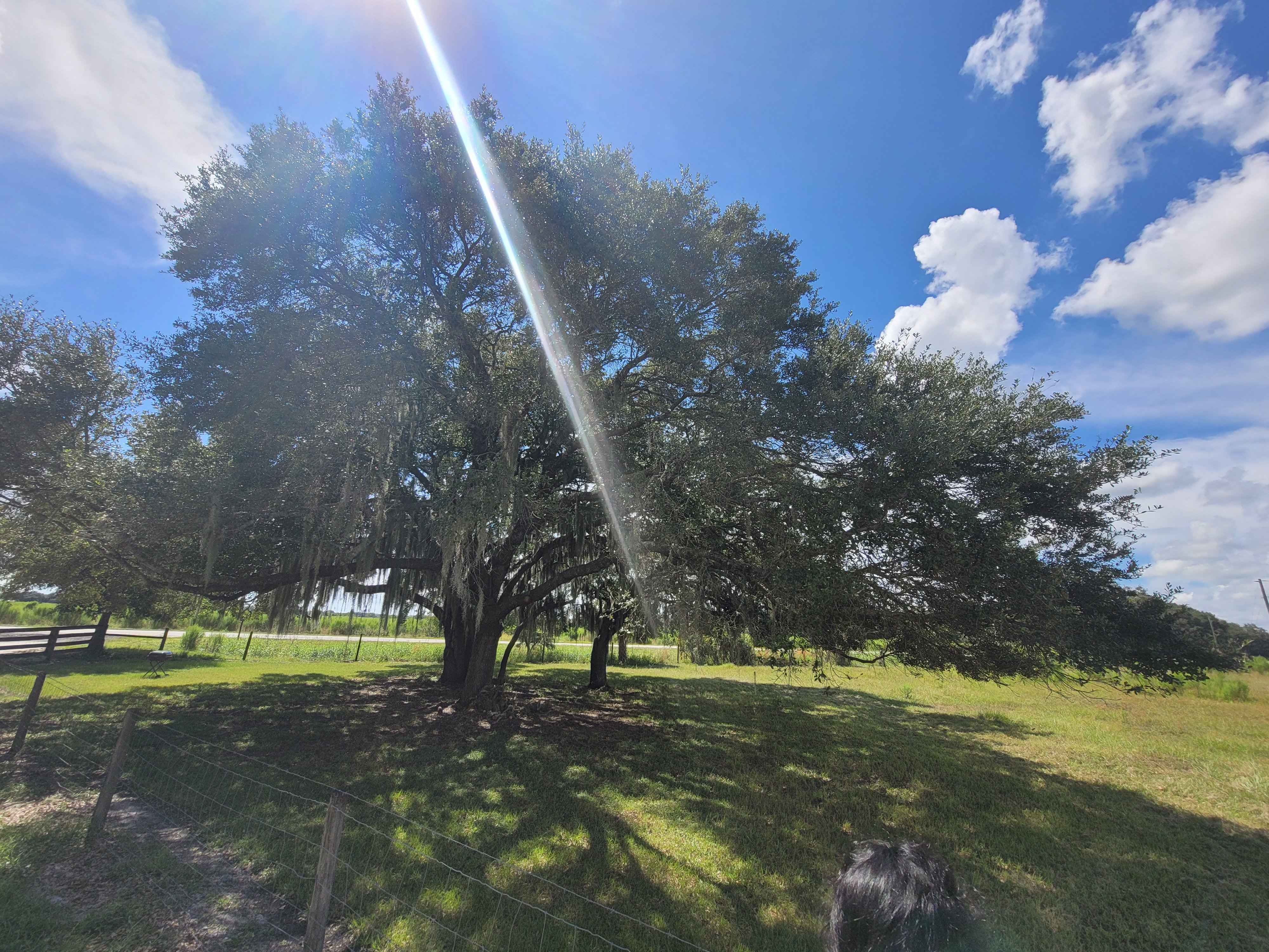 Avatar for Hurricane Hunters Trees Services LLC