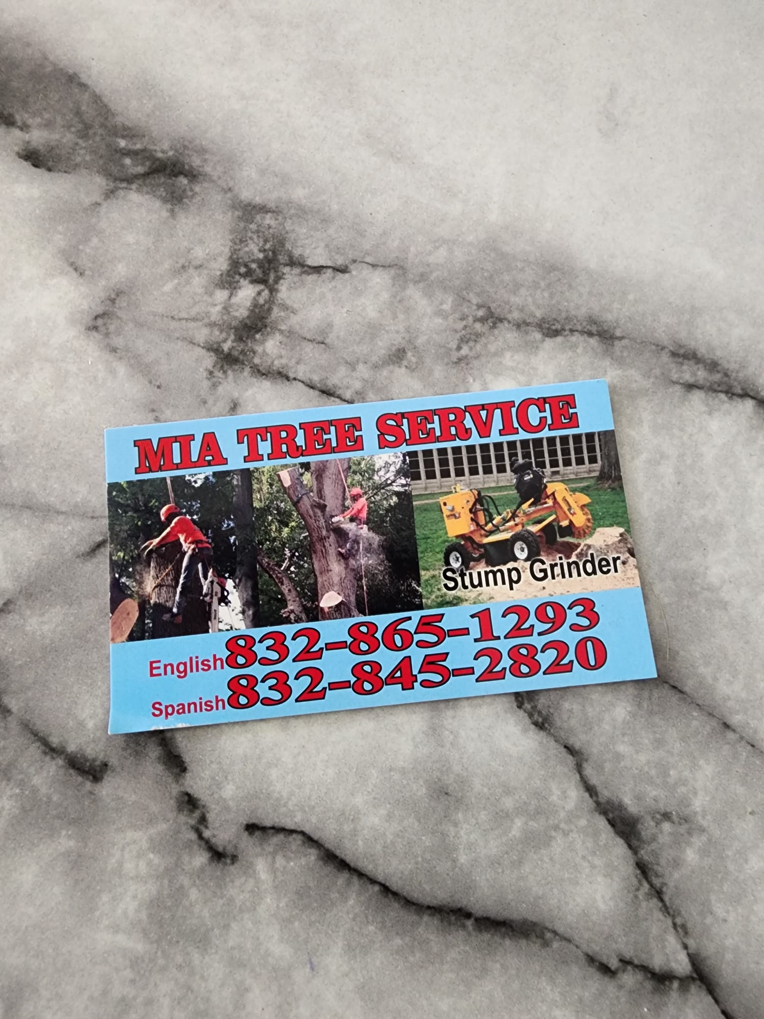 Avatar for Mia Tree Service