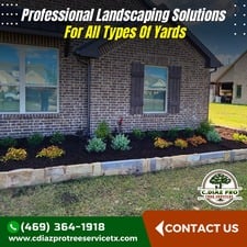 Avatar for C.Diaz Pro Tree Services