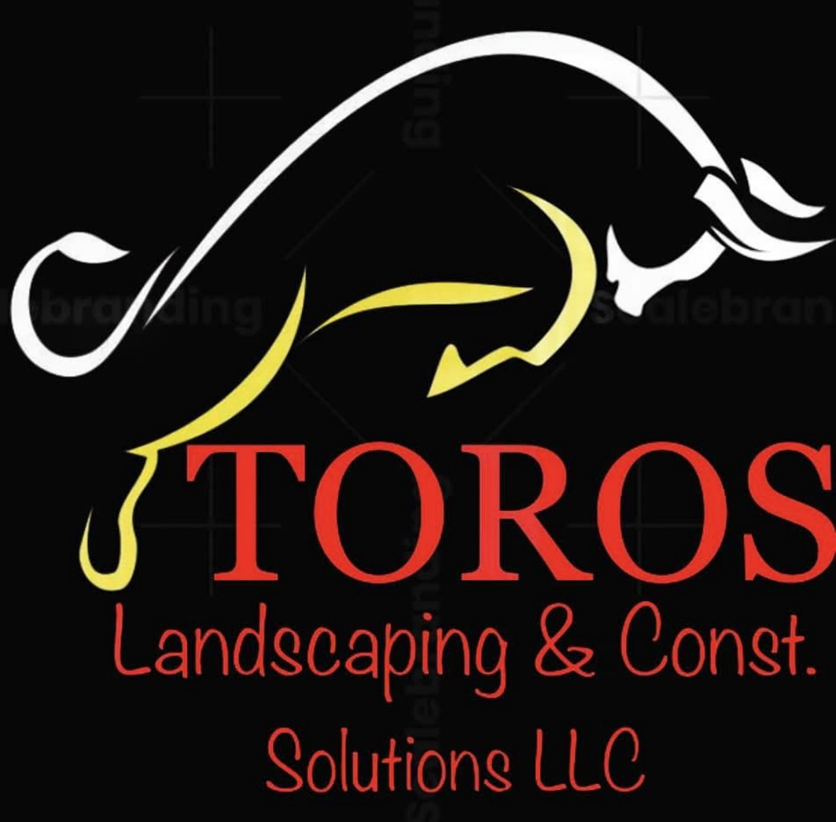 Avatar for Toros Landscaping and Construction Solutions