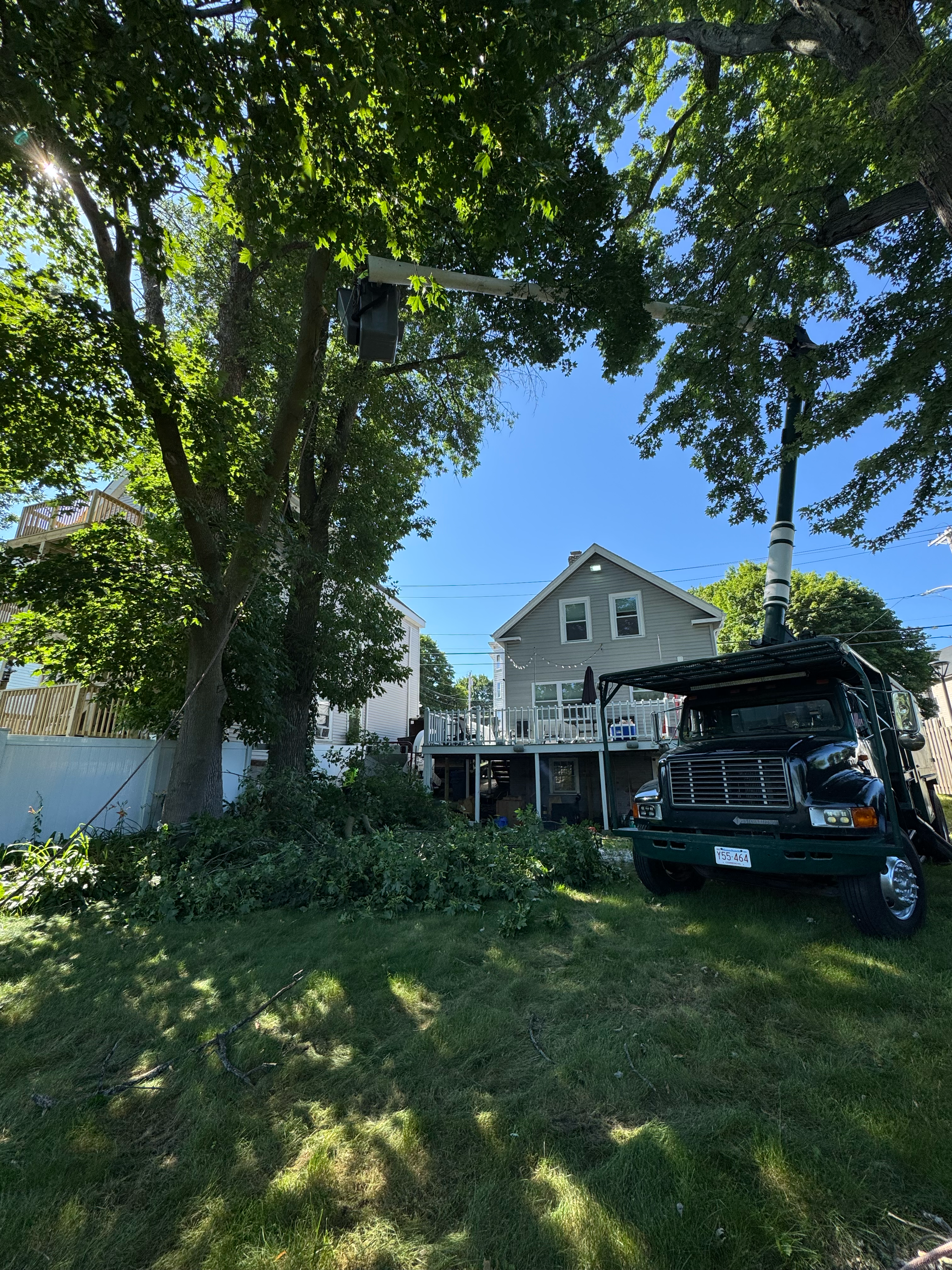 Avatar for Nelson’s Hardscape And Tree Service