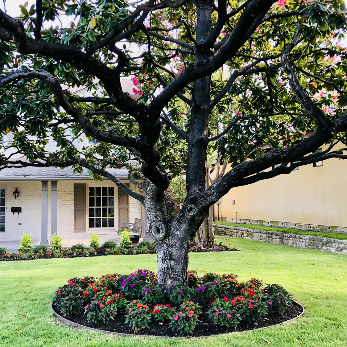 Avatar for Complete Landscape and Design