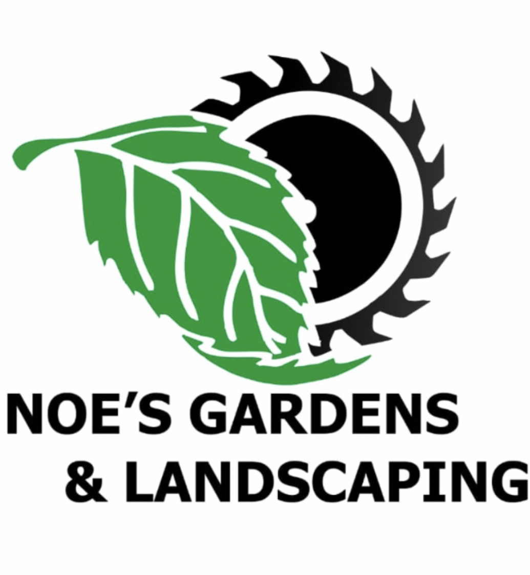 Avatar for Noe’s Gardens