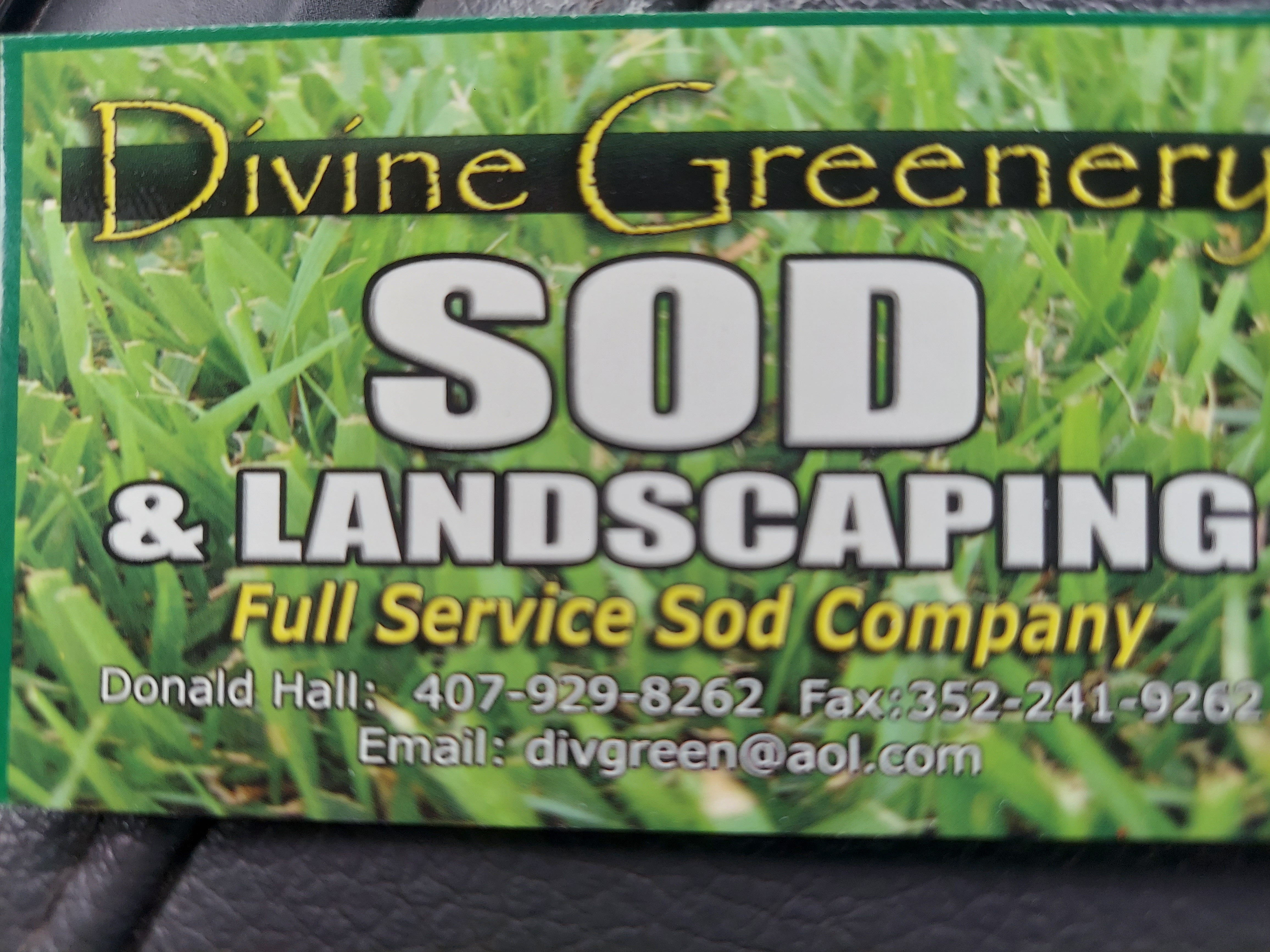Avatar for Divine Greenery Inc.