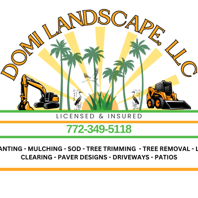 Avatar for Domi Landscape