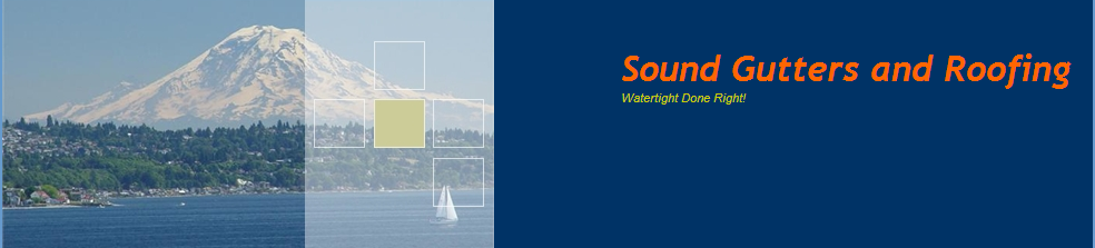 Avatar for Sound Gutters & Roofing Co