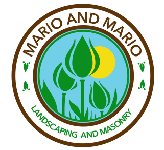 Avatar for Mario & Mario Landscaping