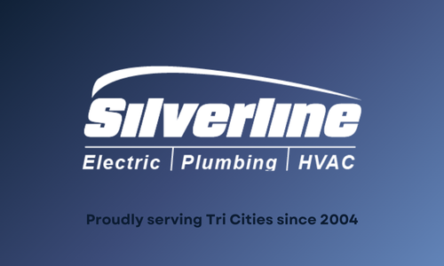 Avatar for Silverline Electric & Plumbing Services