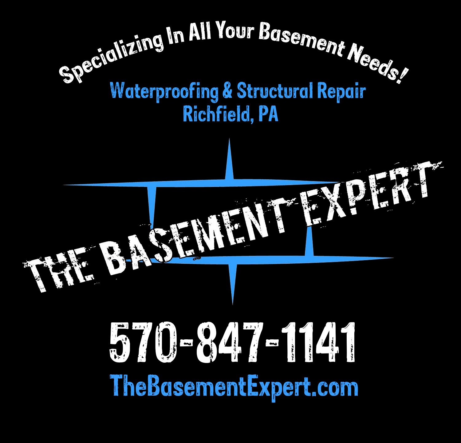 Avatar for The Basement Expert