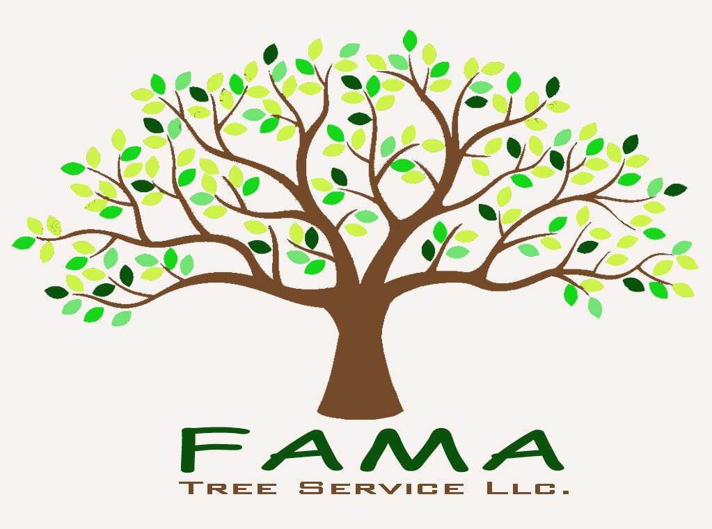 Avatar for FAMA TREE SERVICE LLC