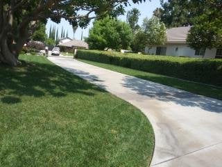 Avatar for Go and Do landscaping