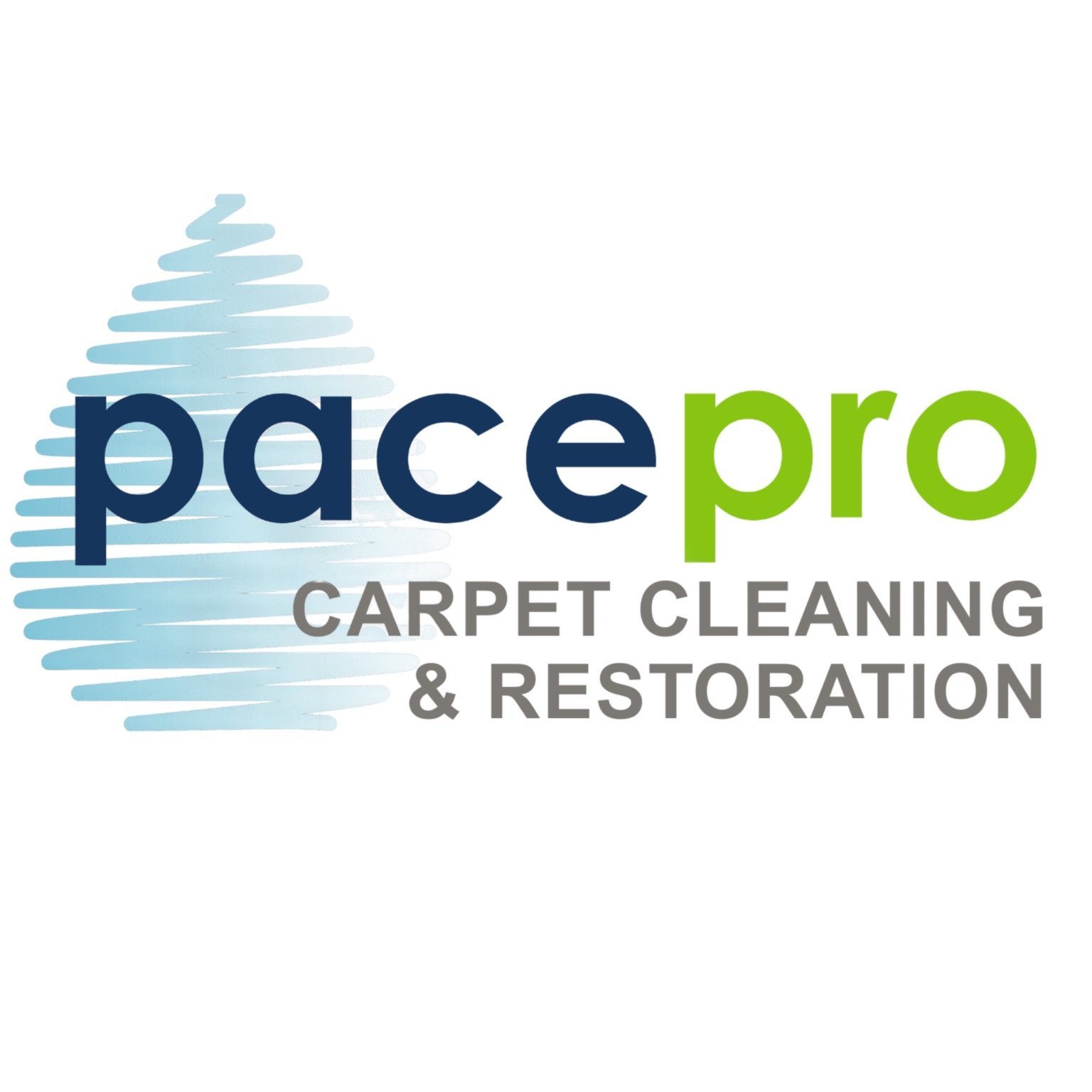 Avatar for Pace Pro Carpet Cleaning & Restoration
