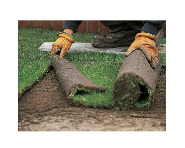 Avatar for Ramos Landscaping