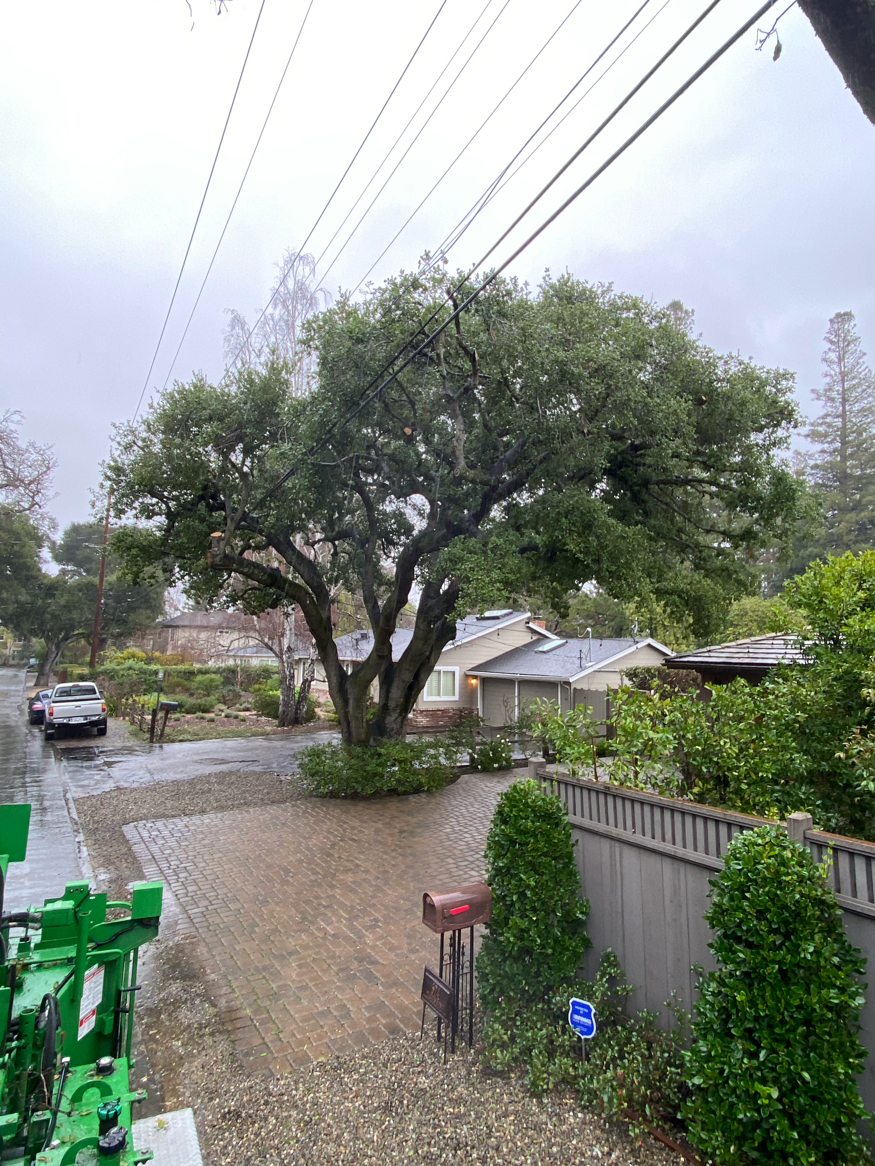 Avatar for H3t0r Tree Service