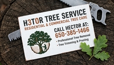 Avatar for H3t0r Tree Service