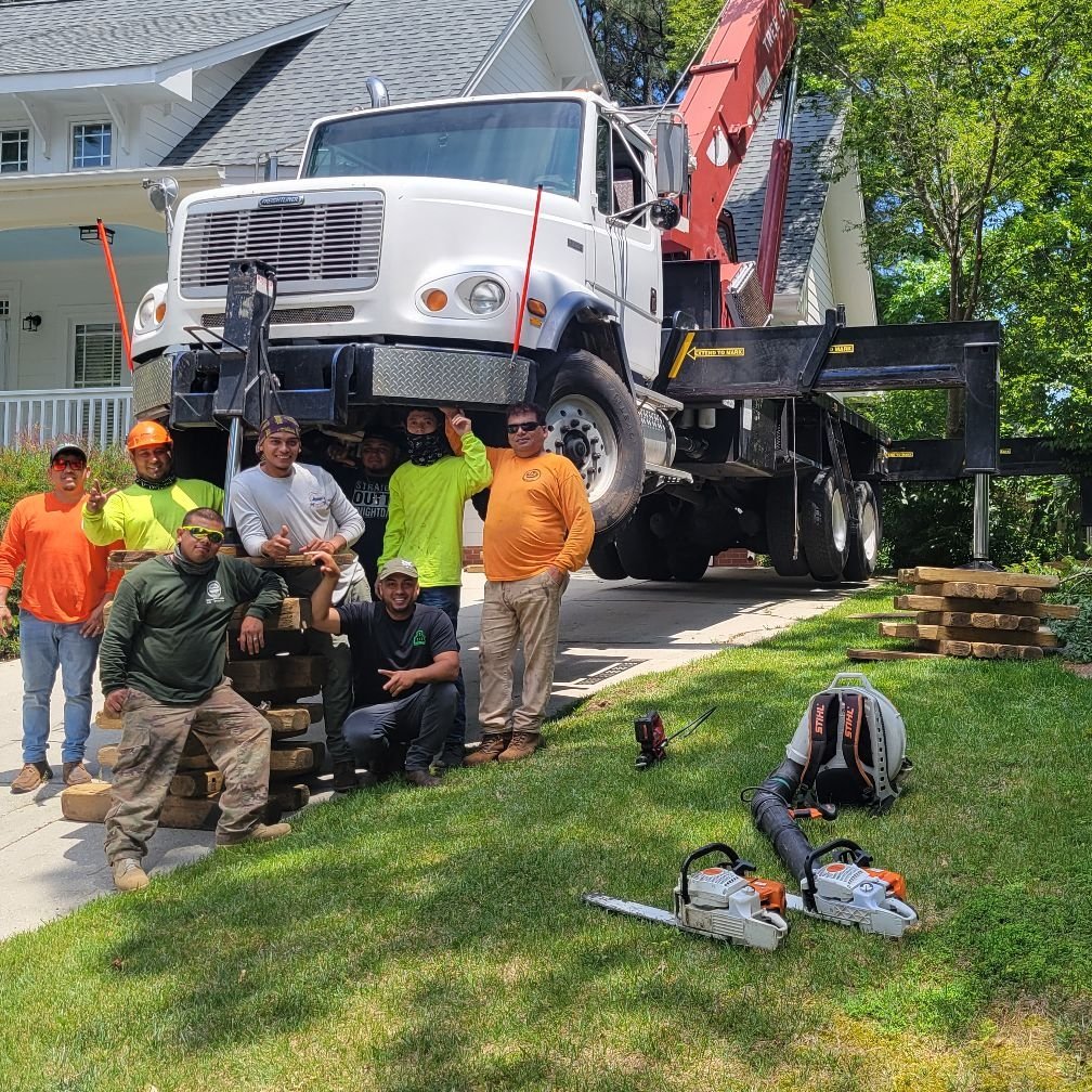 Avatar for BBB Tree Service