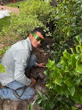 Logo for Patepluma Tree & Outdoor Services