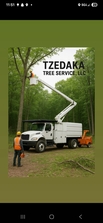Avatar for Tzedaka Tree Service, LLC.