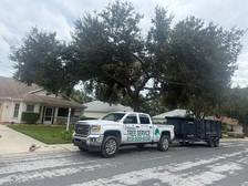 Avatar for Valencia's Tree Service, LLC