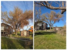 Avatar for Double Angel Tree Surgery